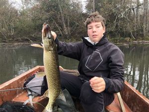 Northern Pike