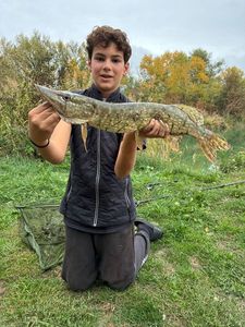 Northern Pike