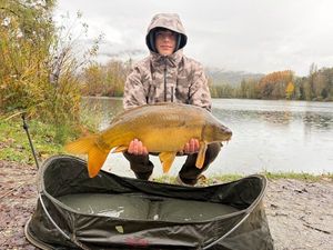 Mirror Carp