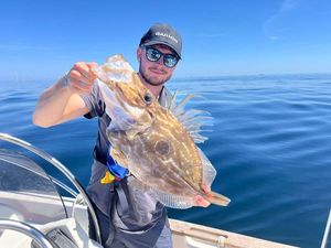 John Dory