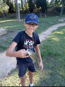 Largemouth Bass