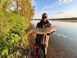 Northern Pike