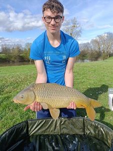 Common Carp