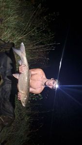 Grass Carp