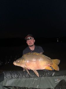 Mirror Carp