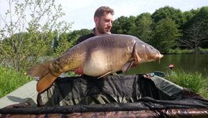 Mirror Carp