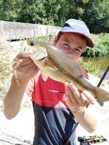 Largemouth Bass