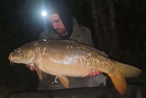 Mirror Carp