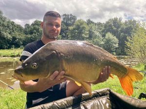 Mirror Carp