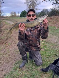 Northern Pike