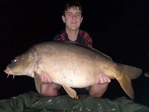 Mirror Carp
