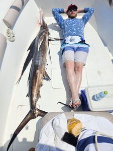 Pacific Sailfish