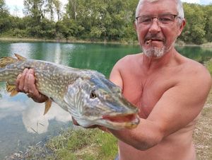 Northern Pike