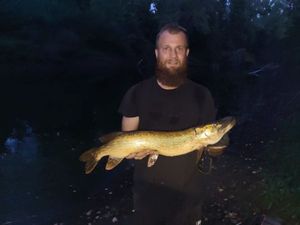 Northern Pike