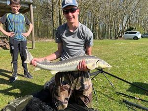 Sturgeon