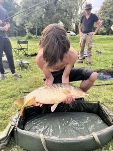 Common Carp