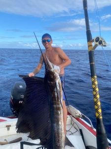 Pacific Sailfish