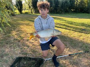 Common Carp