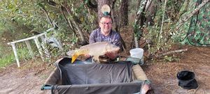 Mirror Carp