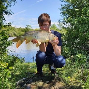 Mirror Carp