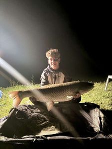 Grass Carp