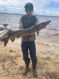 Northern Pike