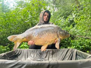 Mirror Carp