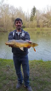 Mirror Carp