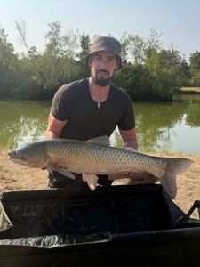 Grass Carp