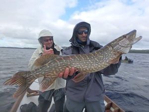 Northern Pike