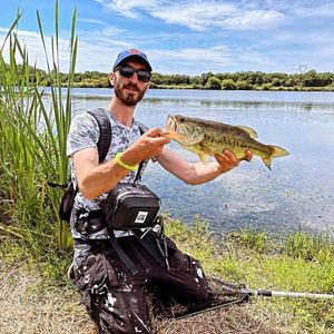 Largemouth Bass