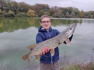 Northern Pike