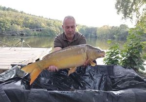 Mirror Carp
