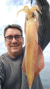 European Squid