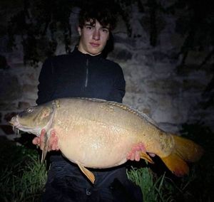 Mirror Carp