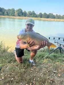 Mirror Carp