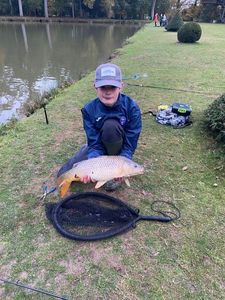 Common Carp