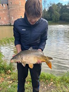 Mirror Carp