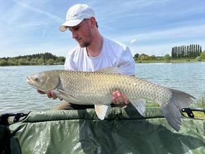Grass Carp
