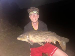 Common Carp