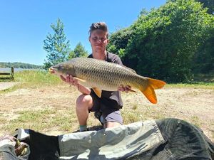 Common Carp