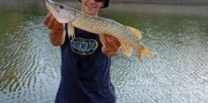 Northern Pike