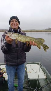 Brochet 