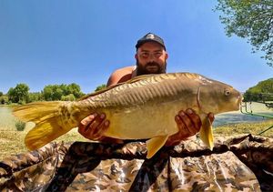Mirror Carp