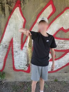 Wels