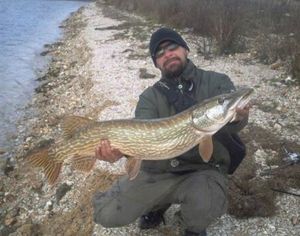 Northern Pike