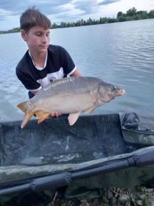 Mirror Carp