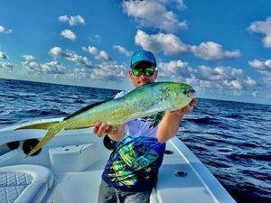 Dolphinfish