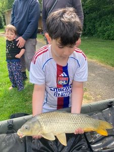 Common Carp