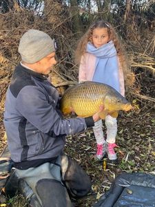 Common Carp